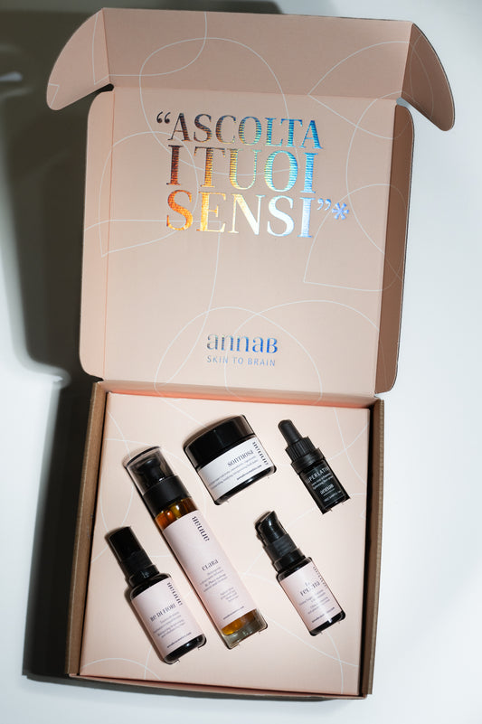 CHRISTMAS STARTER KIT GLOW KIT - SCATOLA INCLUSA